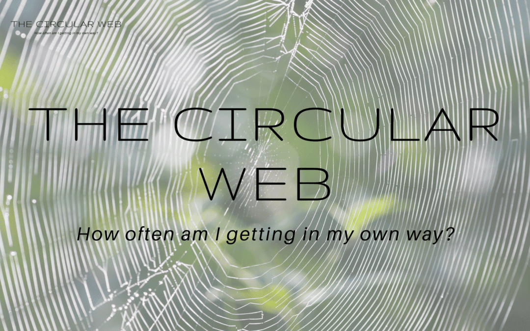 The Circular Web: How often am I getting in my own way?